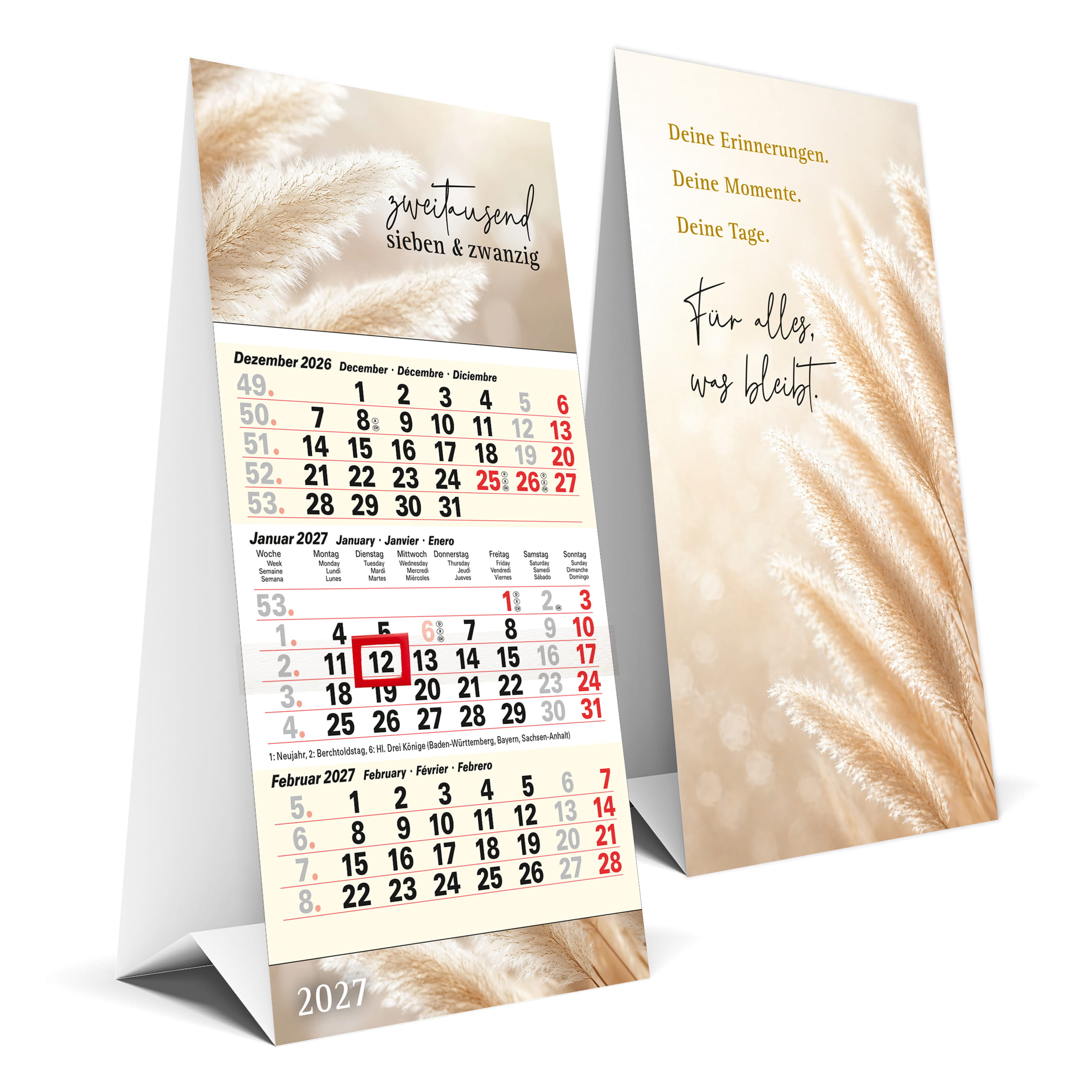 Tischkalender 2027 Pampas – 3 Monatskalender