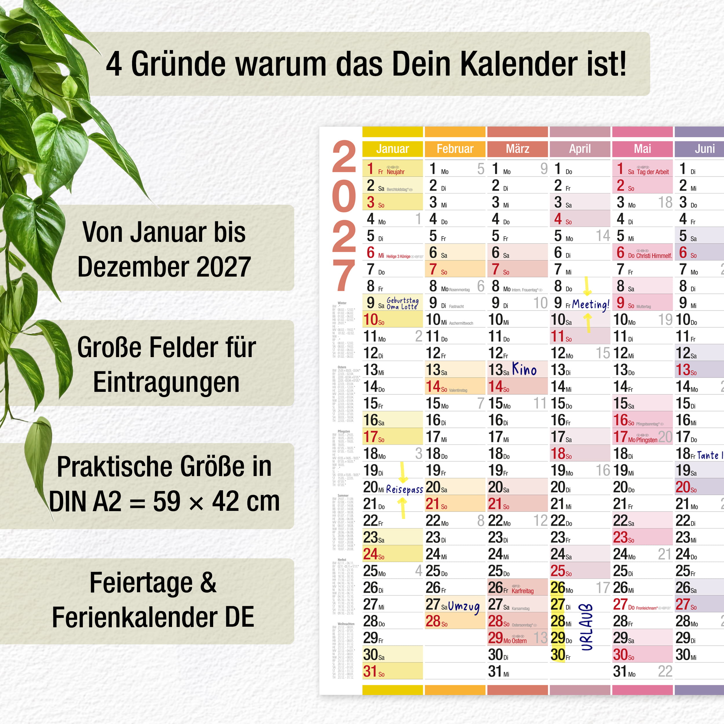 Wandkalender 2027 A2 Color Line