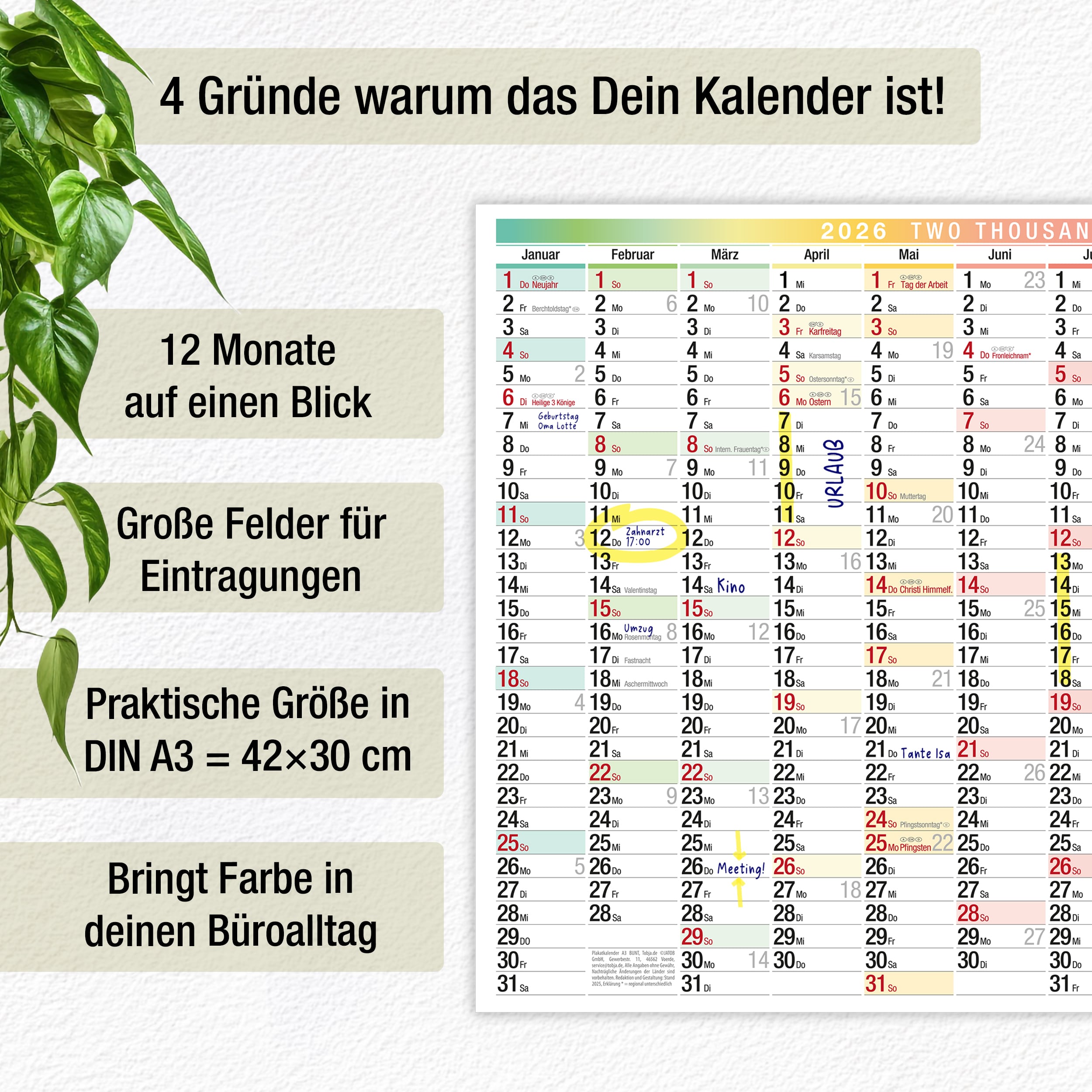 Wandkalender A3 2026 "bunt" Wandkalender A3 2026 "bunt"