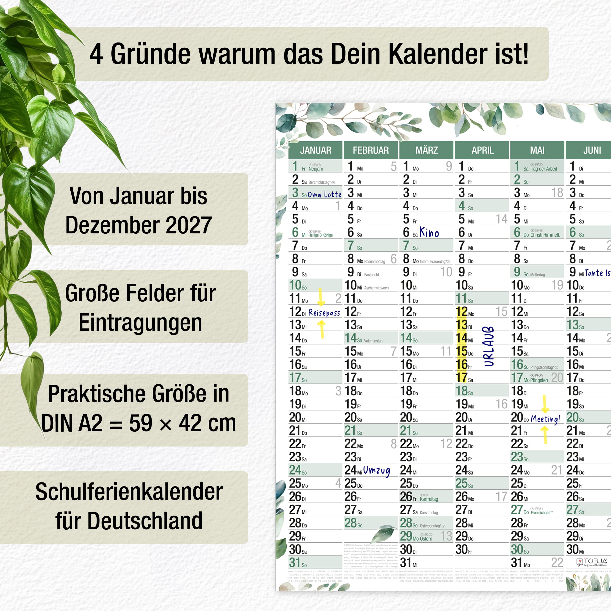 Wandkalender 2027 A2 Eukalyptus Botanical