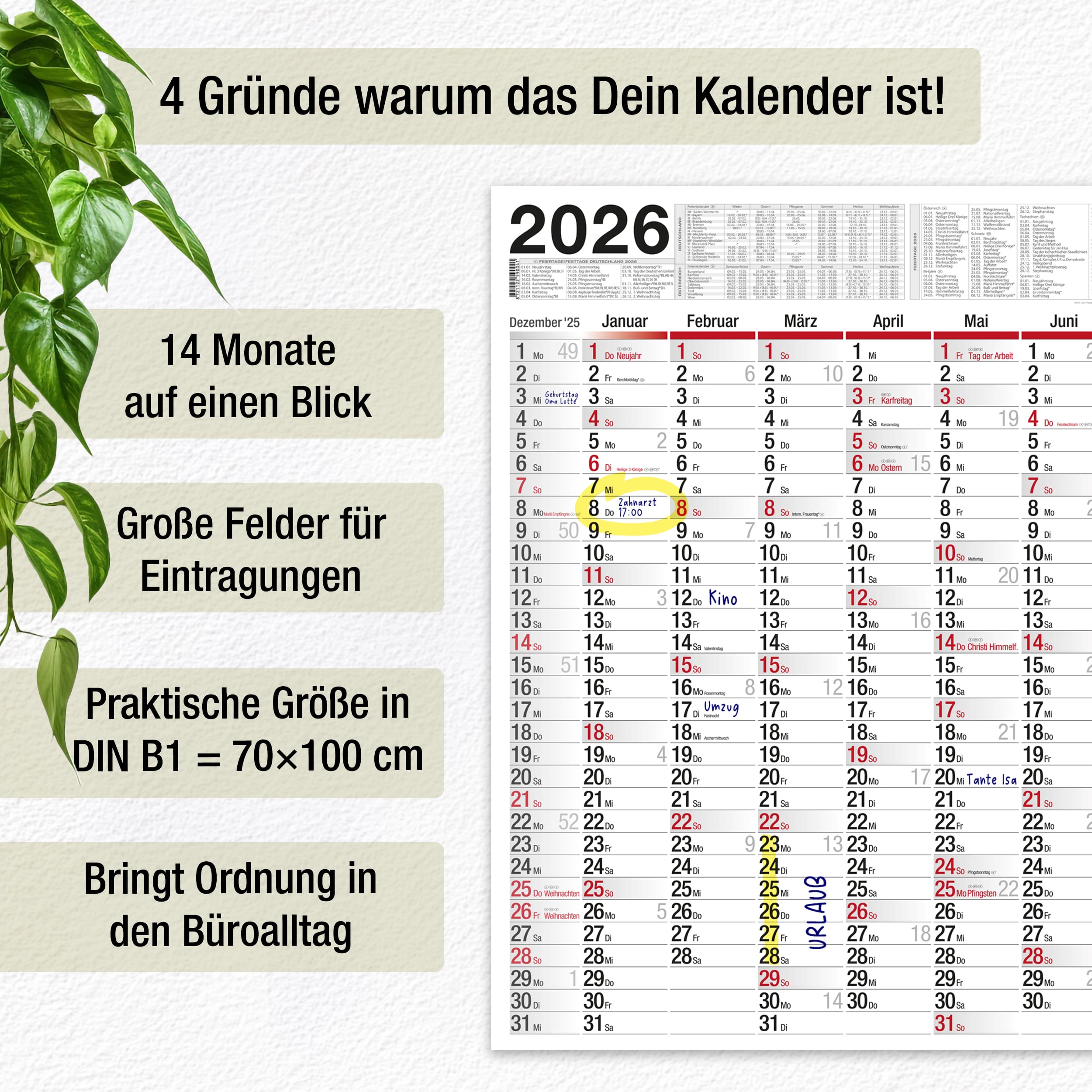 XXL Wandkalender 2026 1x Kalender gerollt XXL Wandkalender 2026 2x Kalender gerollt
