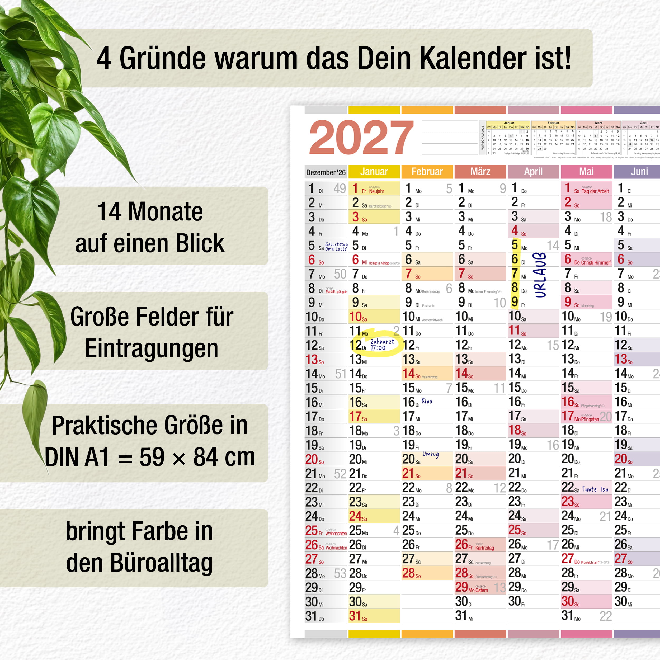 Wandkalender 2027 A1 Color Line 14 Monate