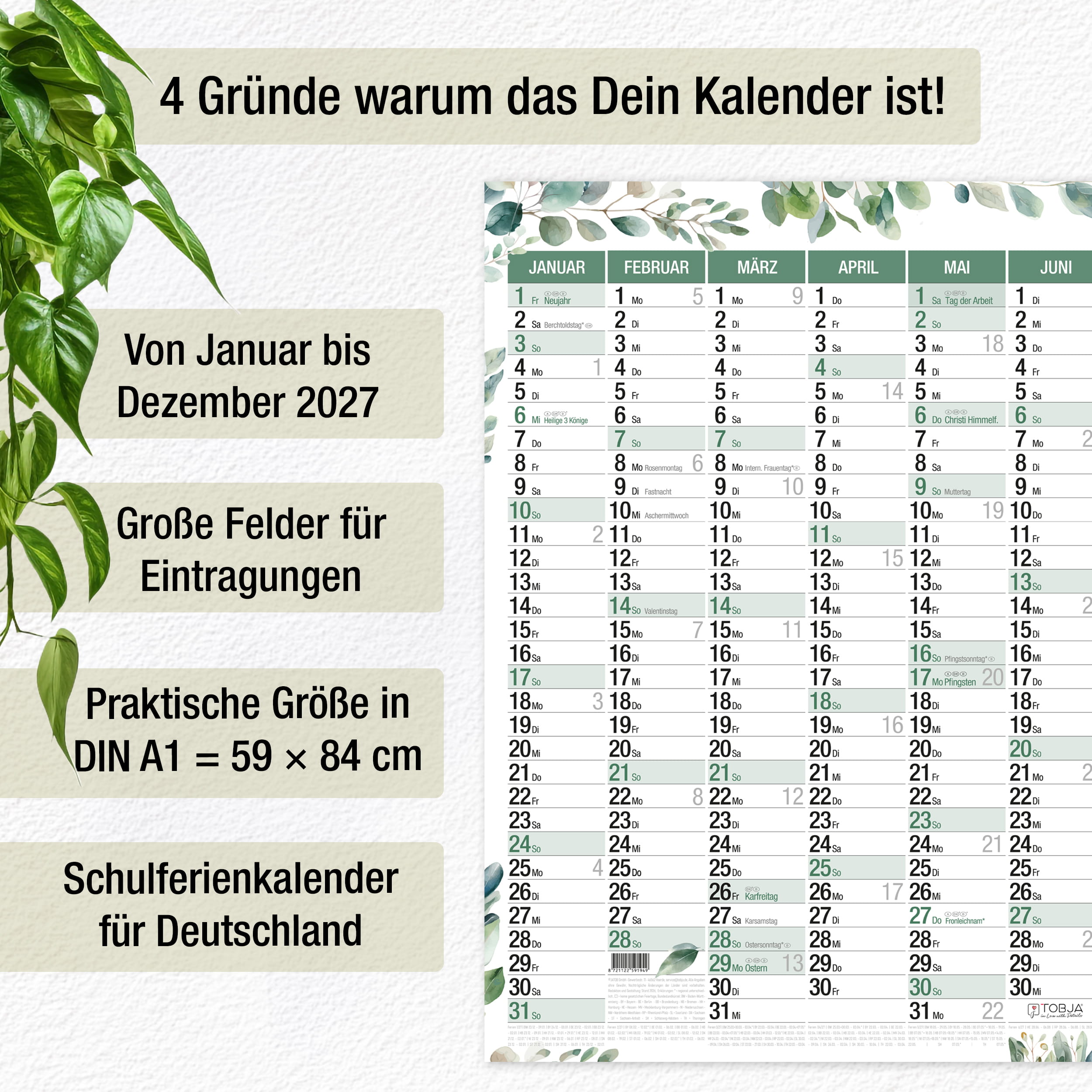 Wandkalender 2027 A1 Eukalyptus