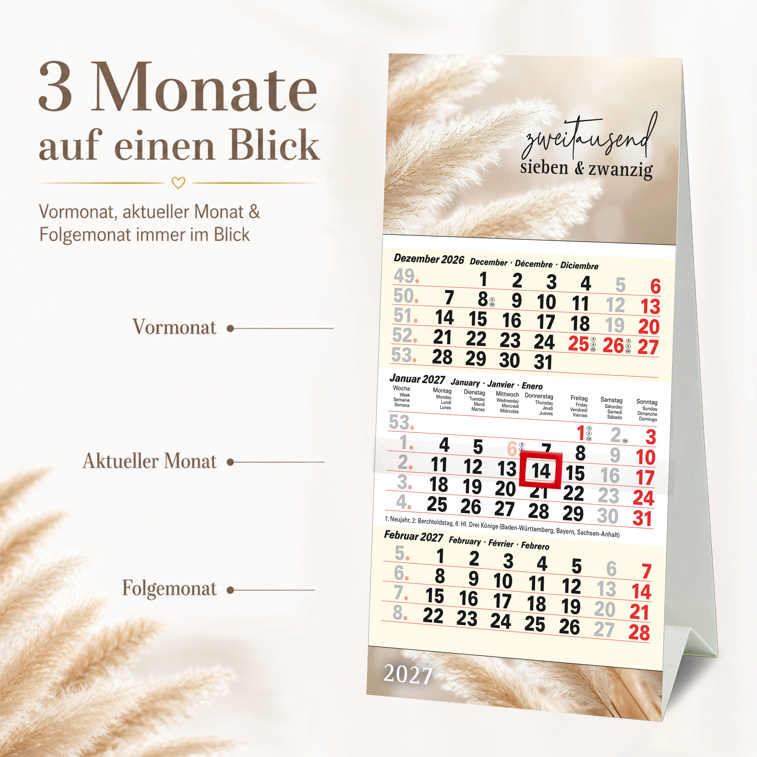 Tischkalender 2027 Pampas – 3 Monatskalender
