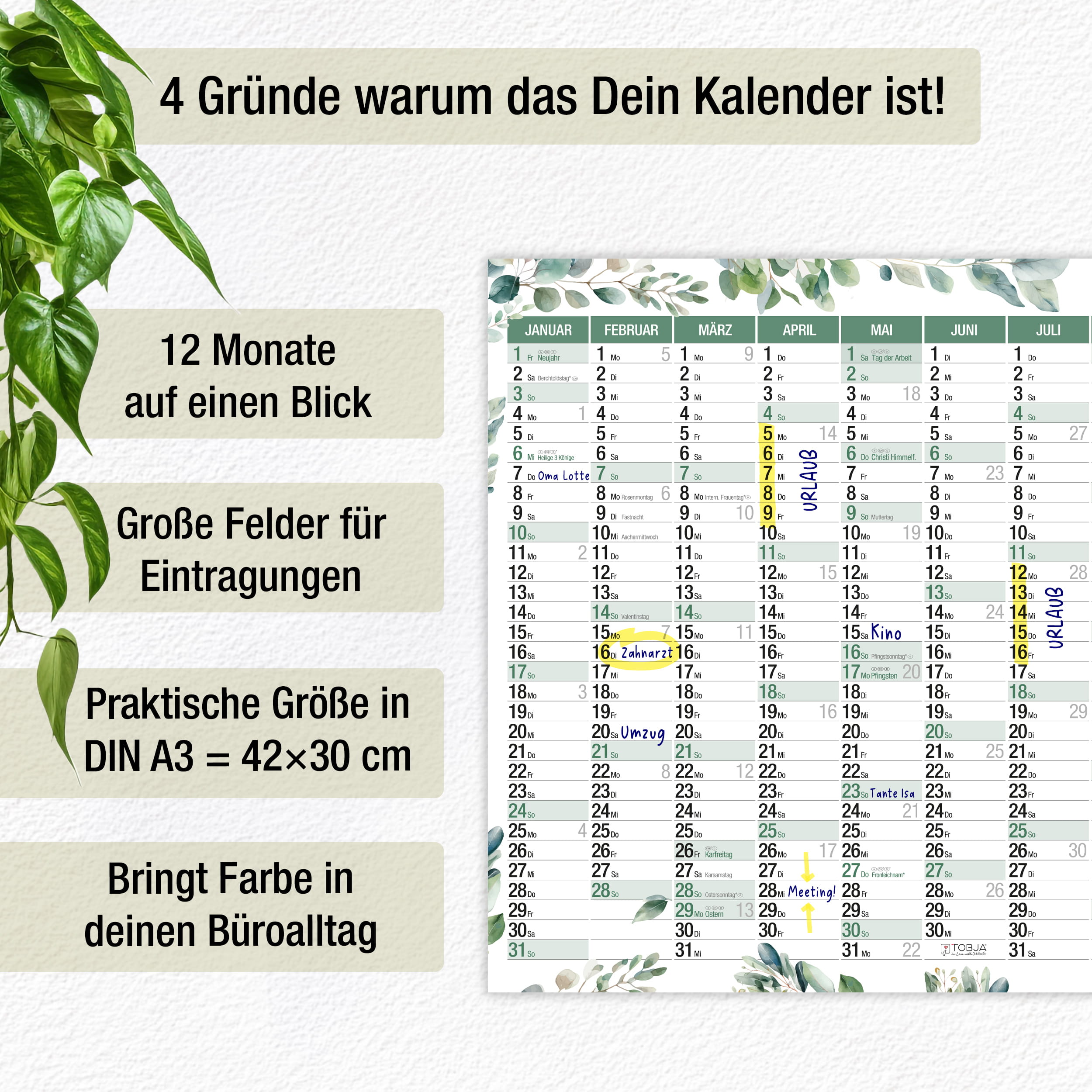 Wandkalender 2027 A3 Color Line