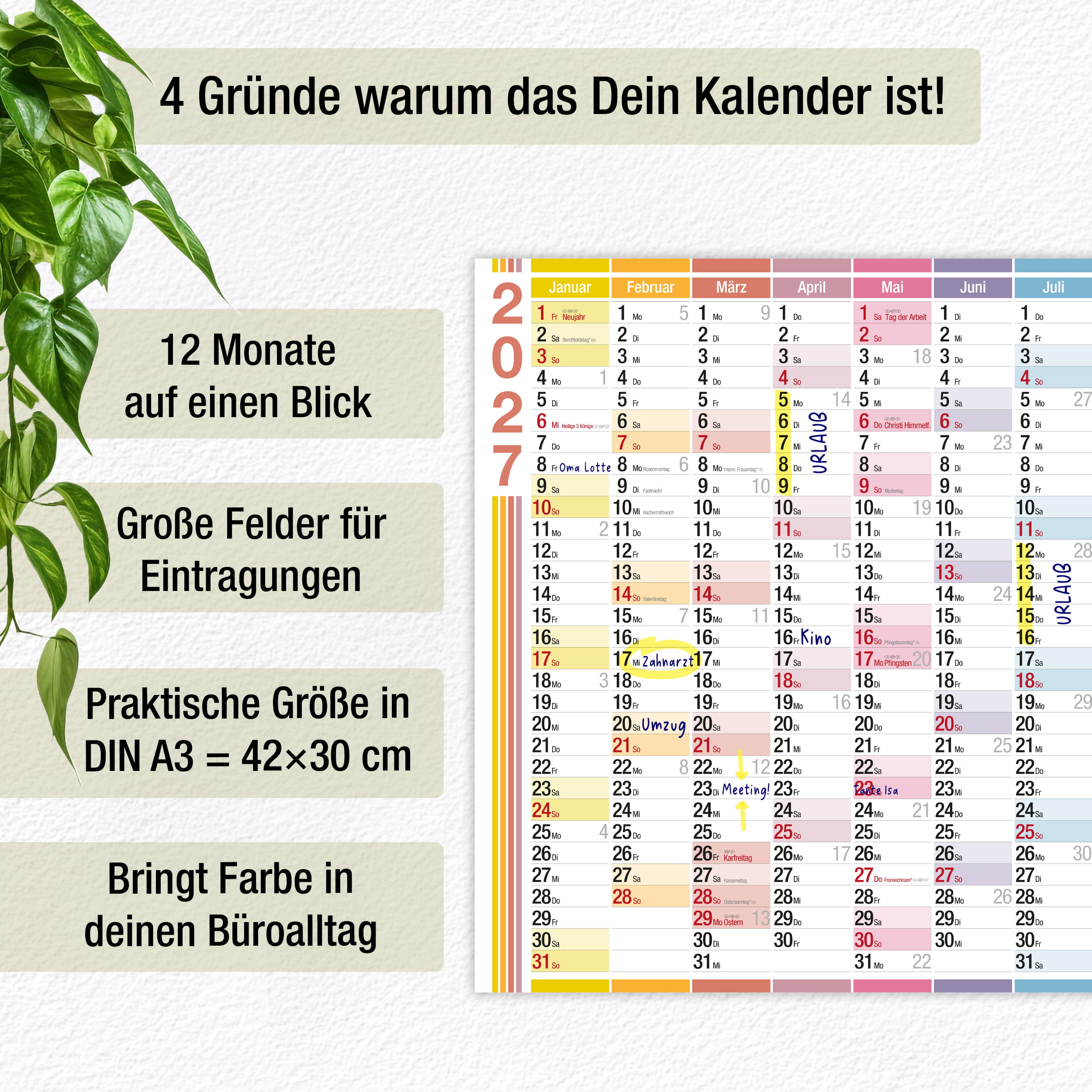 Wandkalender 2027 A3 Color Line